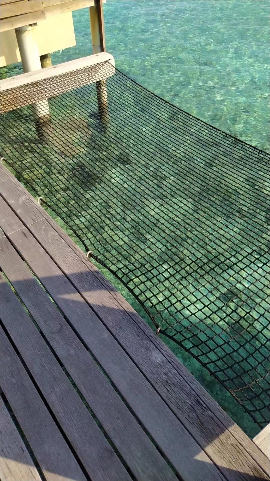 Hammock