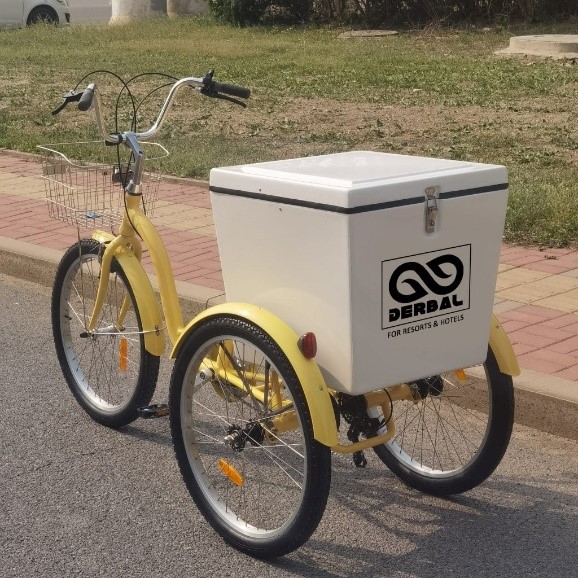 Laundry Tricycle